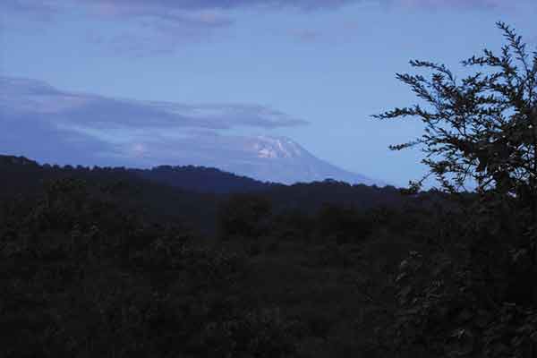 Scenery of Mikumi National Park
